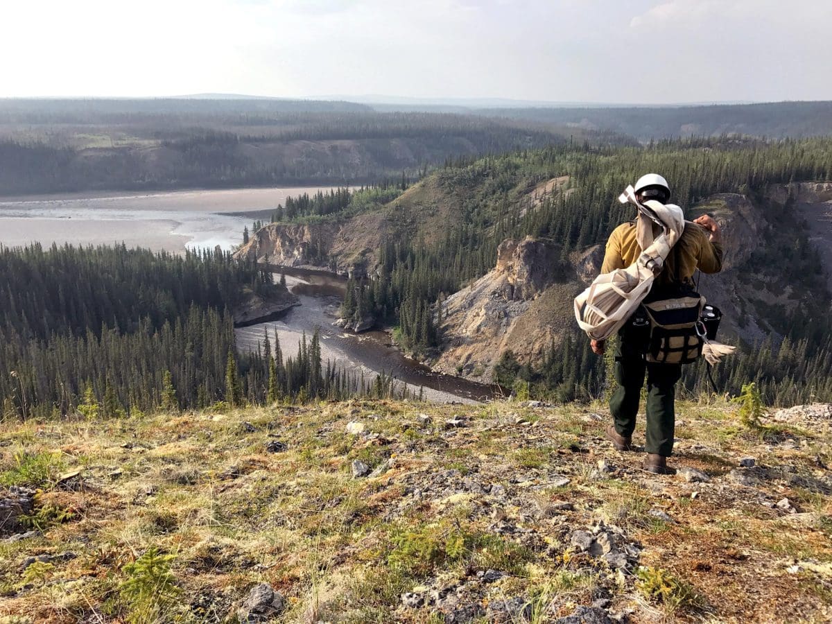 53011329718_5e027ca02c_o