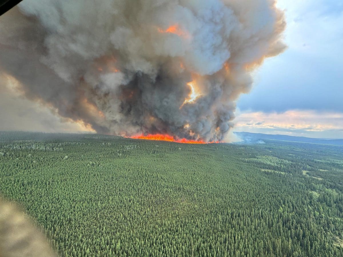 53825832117_f2e7968d9a_o