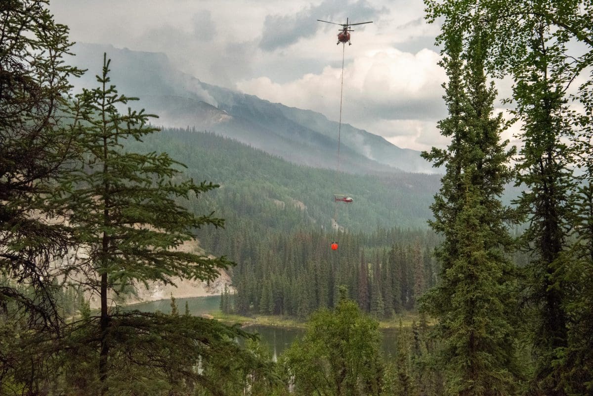 53846742114_e6b99ac925_o