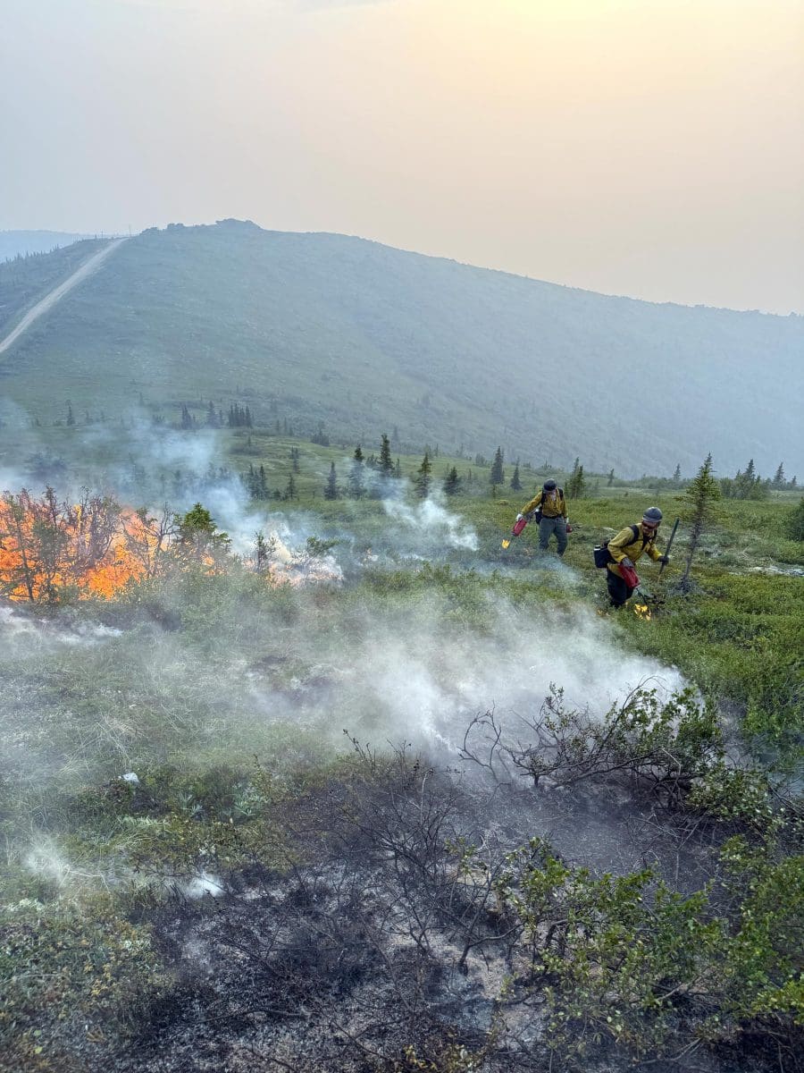 54642864856_7da82218b5_o